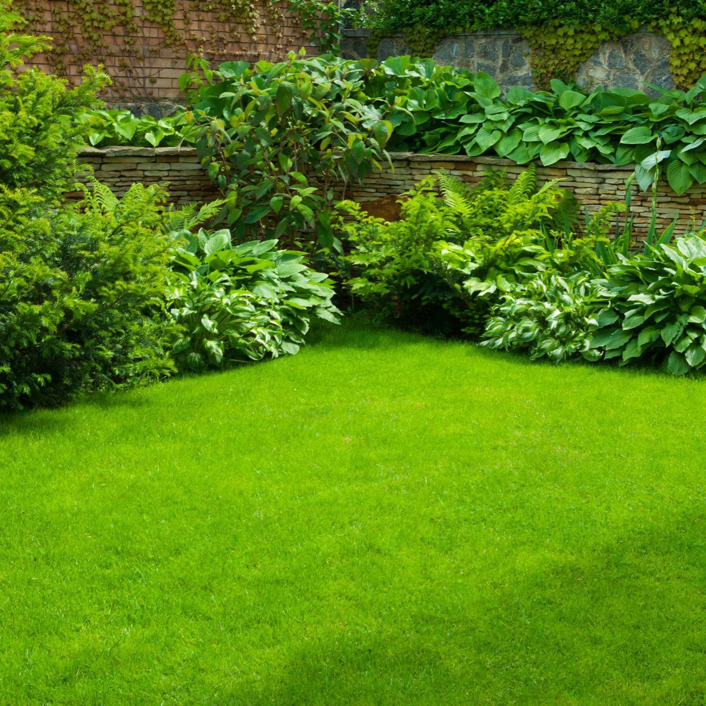 Lush green lawn surrounded by vibrant bushes and a stone wall backdrop.