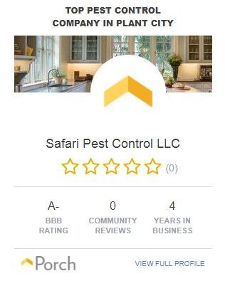 Safari Pest Control LLC logo with a kitchen background, Plant City. Shows BBB rating, and years in business.