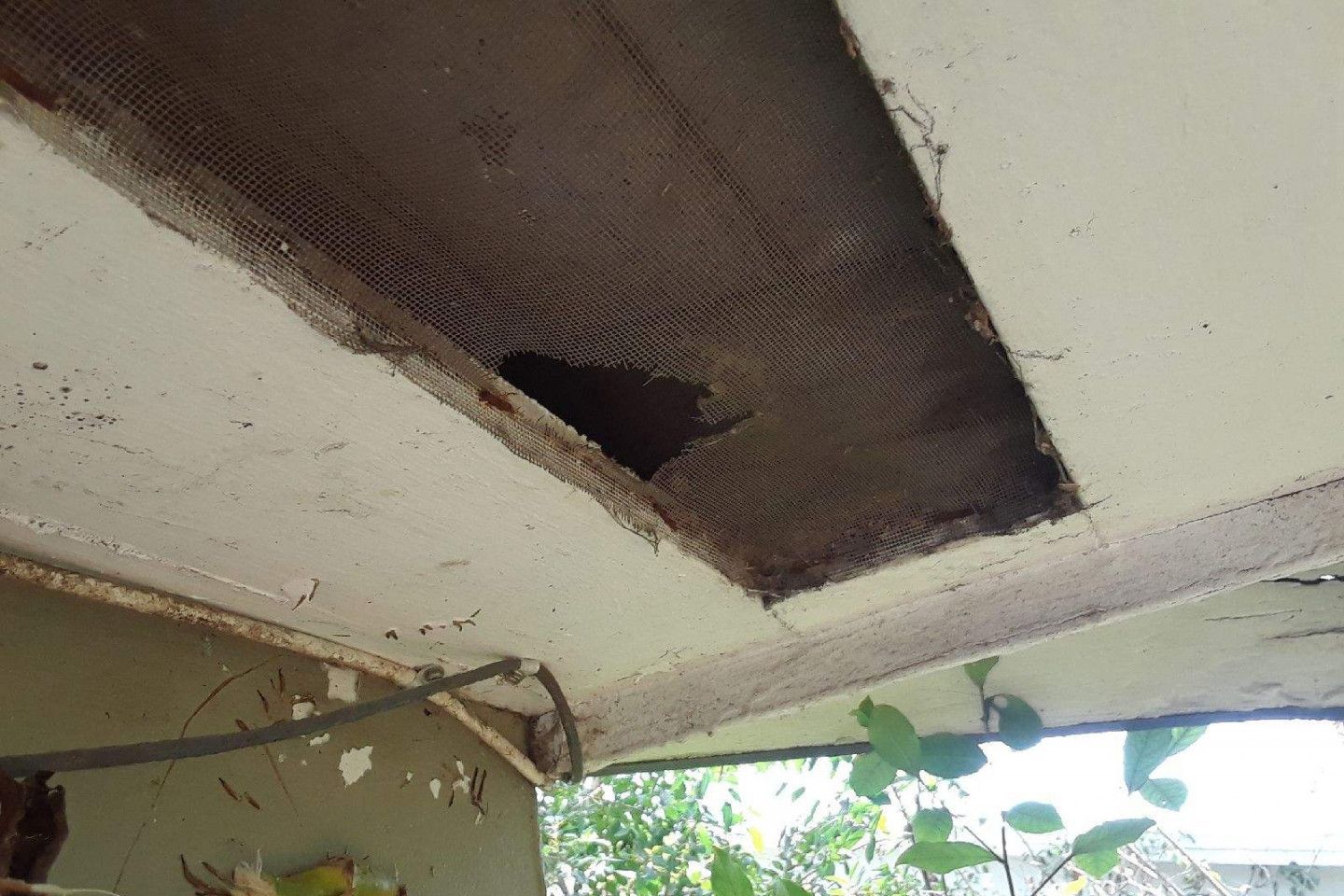 A damaged ceiling with a hole revealing mesh and dark interior; outdoors, daylight.