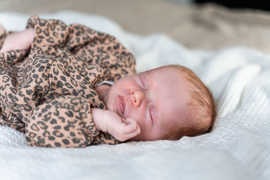 Newborn shoot midden Limburg