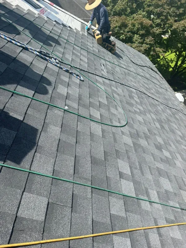Trench dug in a grassy yard, leading to a house with black siding, and an electrical box.