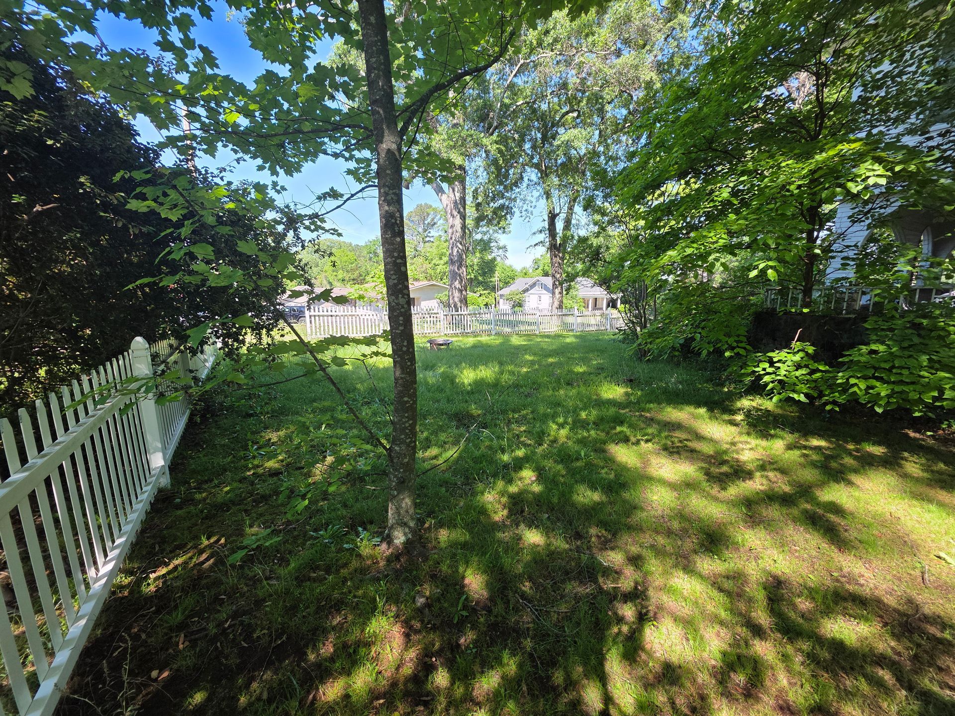 A backyard with a white picket fence and trees.