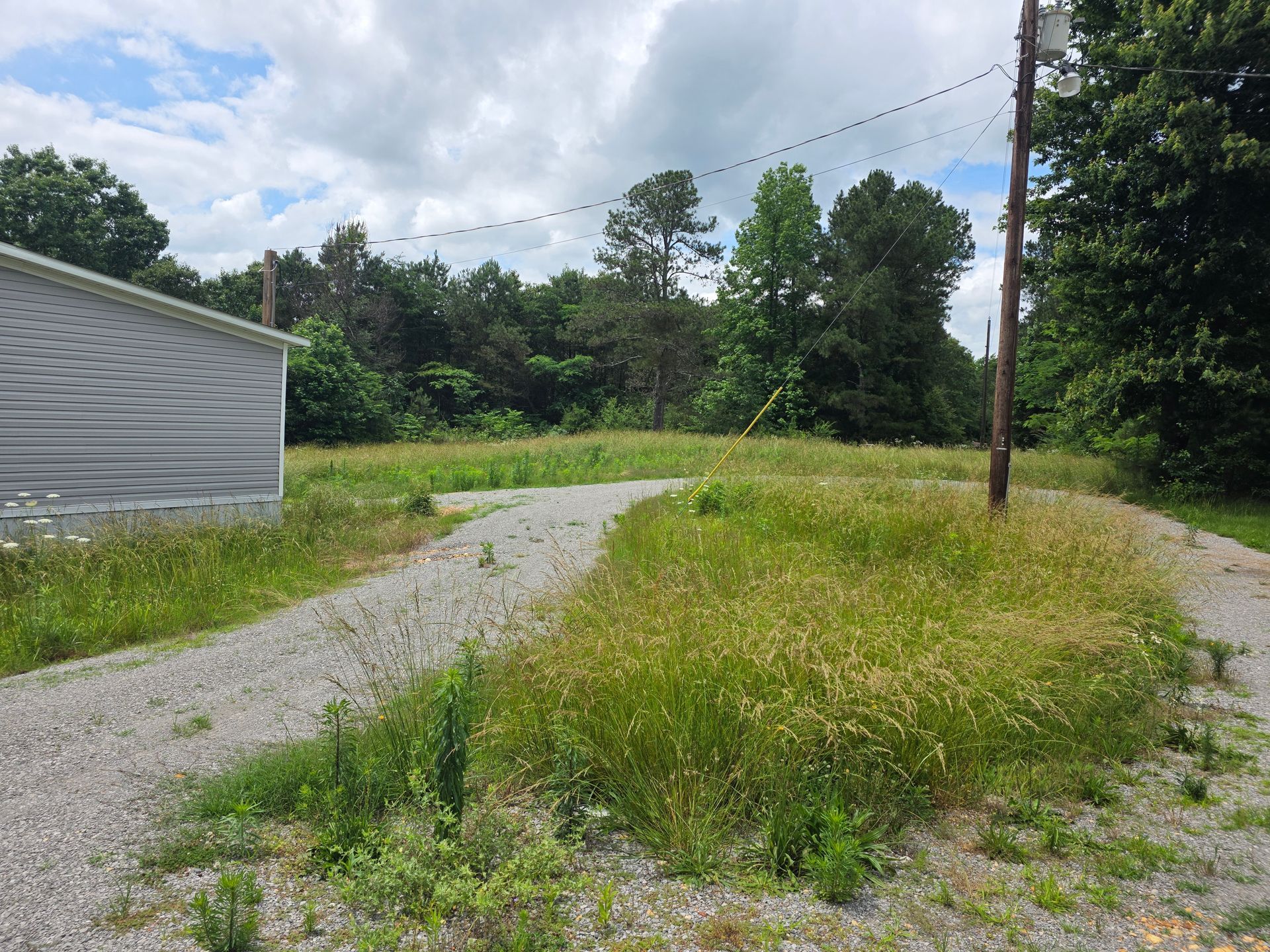A dirt road going through a grassy field next to a house.