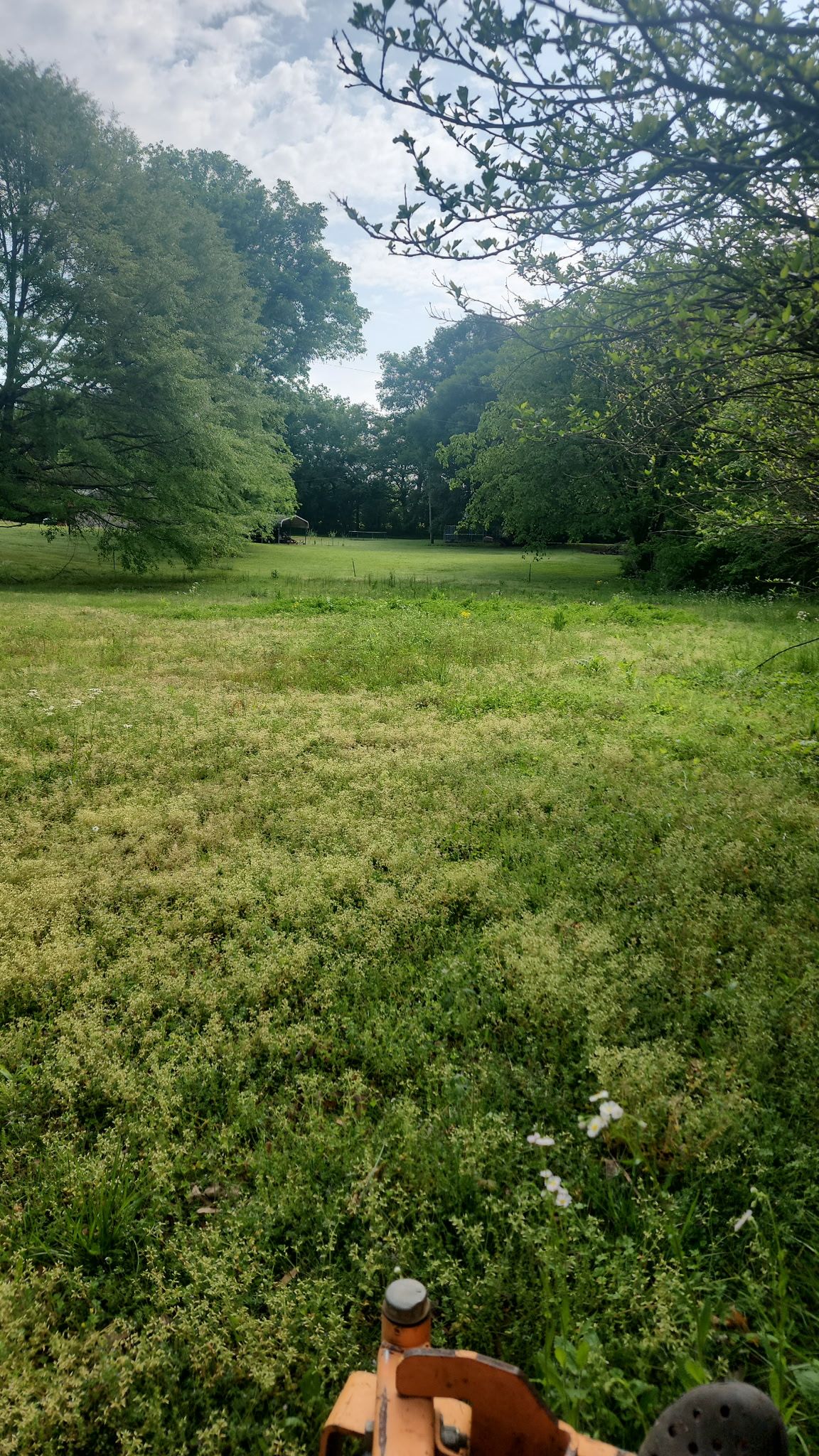 A person is sitting in the grass in a field with trees in the background.