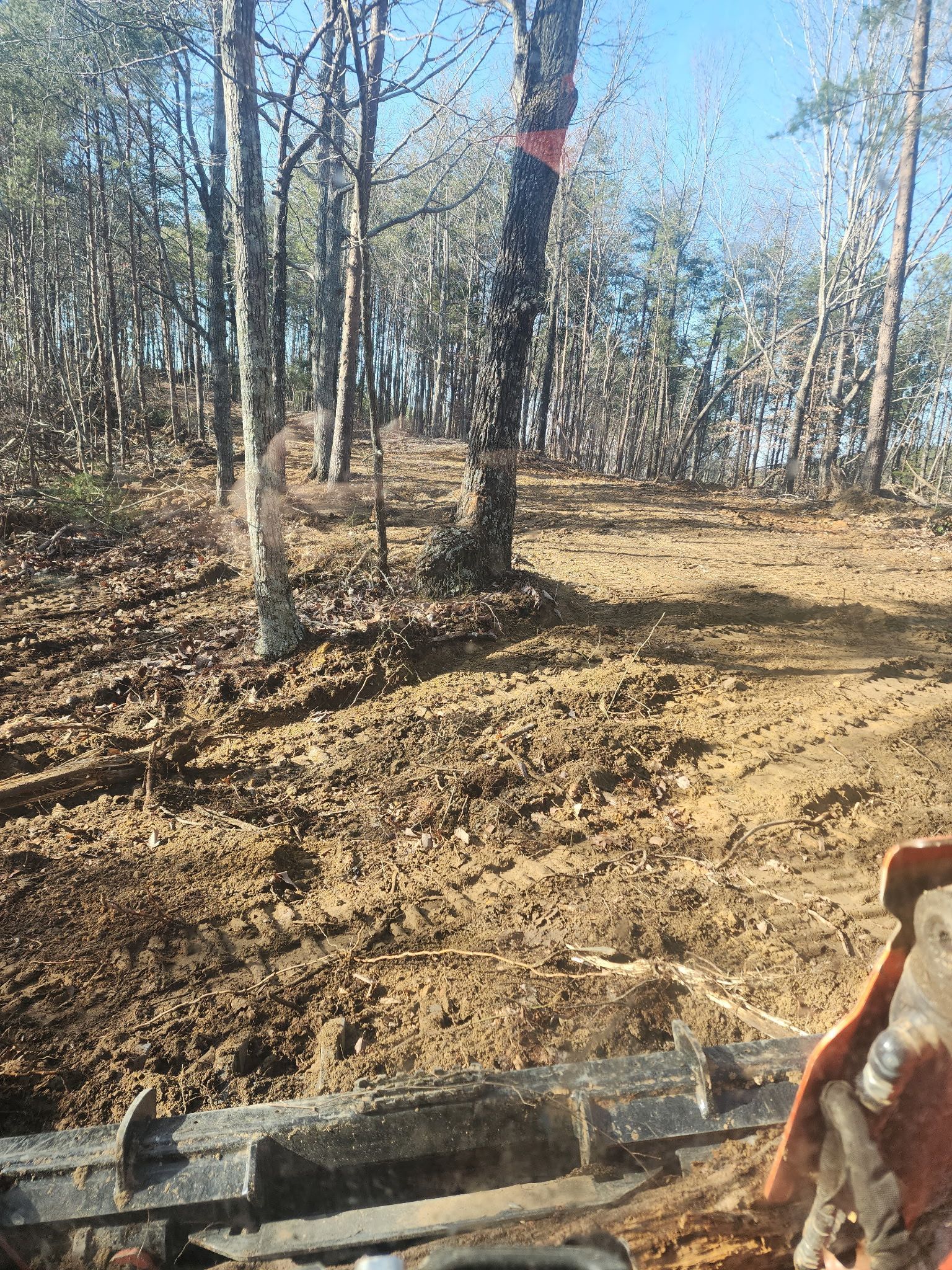 A person is cutting a tree in the woods with a chainsaw.