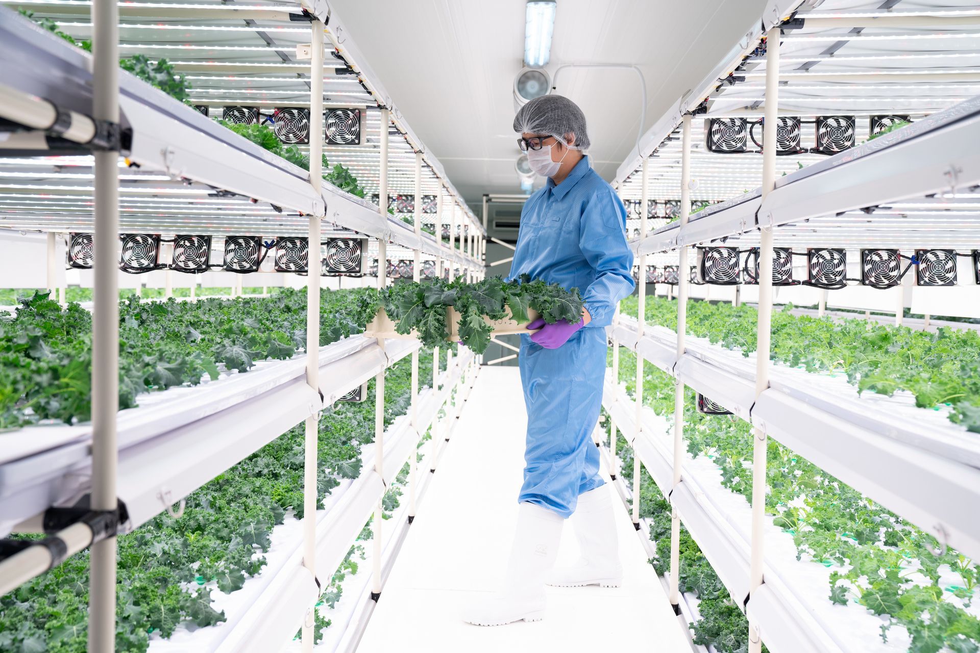 White air purifier beside a baby crib in a sunlit room with hardwood floors and a potted plant. White air purifier beside a baby crib in a sunlit room with hardwood floors and a potted plant.