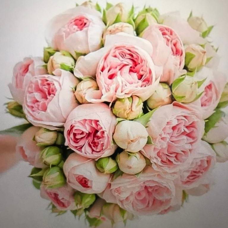 Un gros plan d'un bouquet de fleurs roses