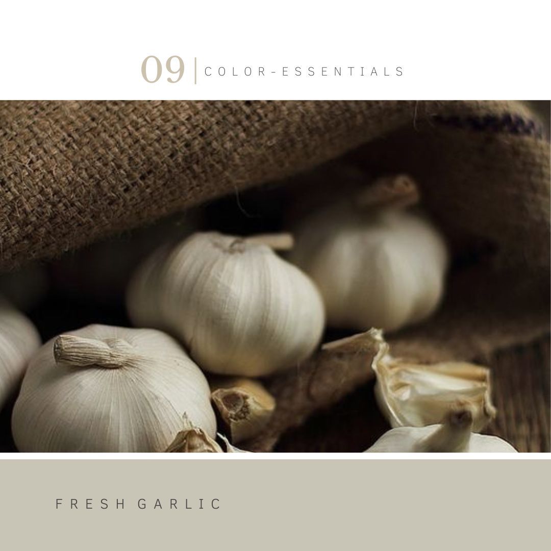 Verflijn Color Essentials | Villa18 Interieurs