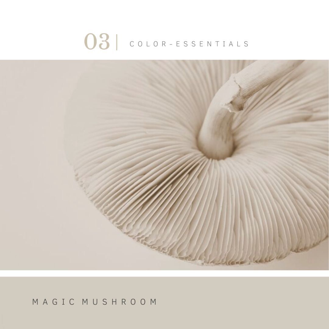 Interieuradvies Loenen aan de Vecht