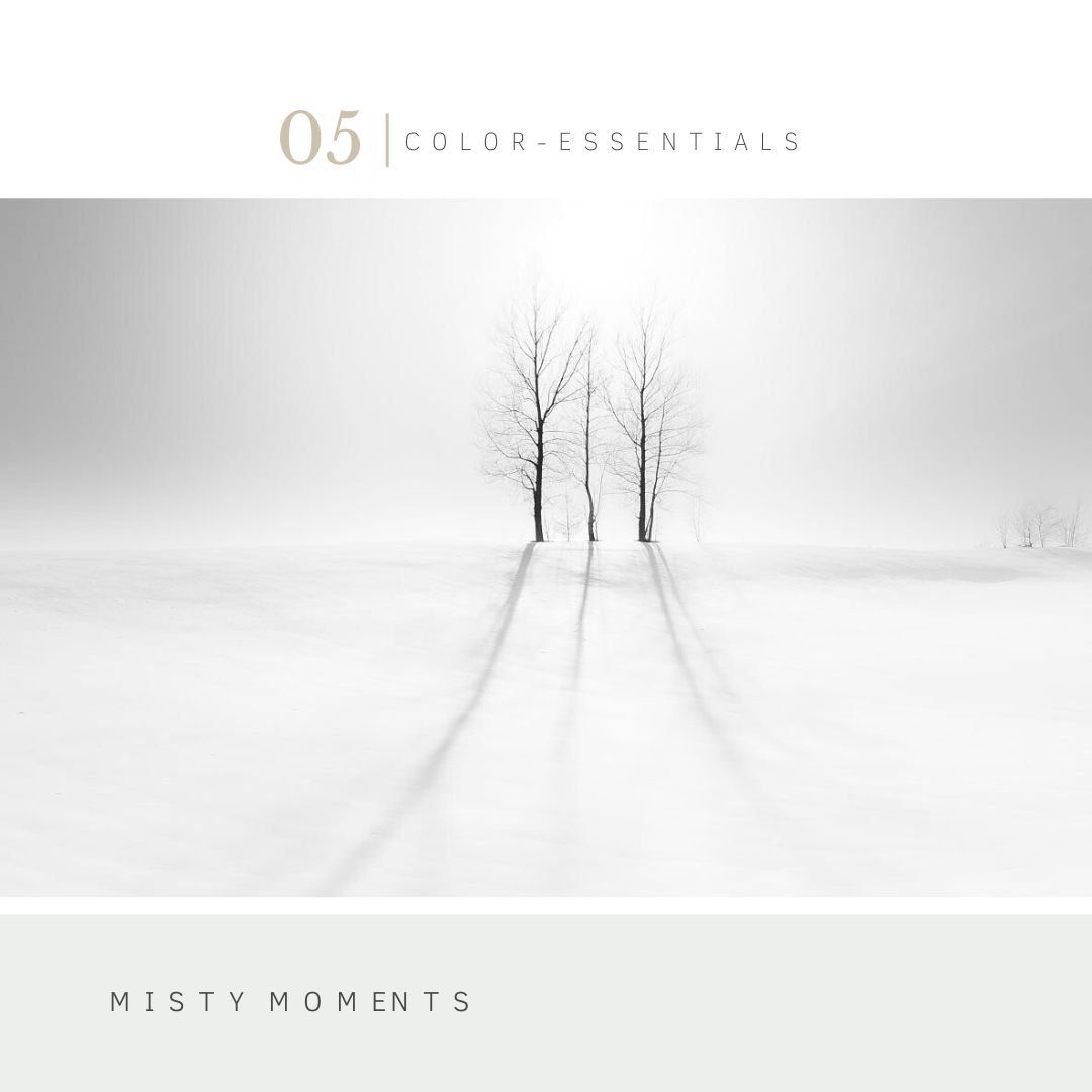 Verflijn Color Essentials | Villa18 Interieurs