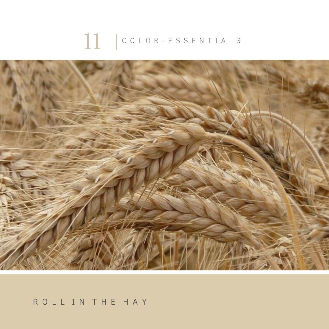 Verflijn Color Essentials | Villa18 Interieurs