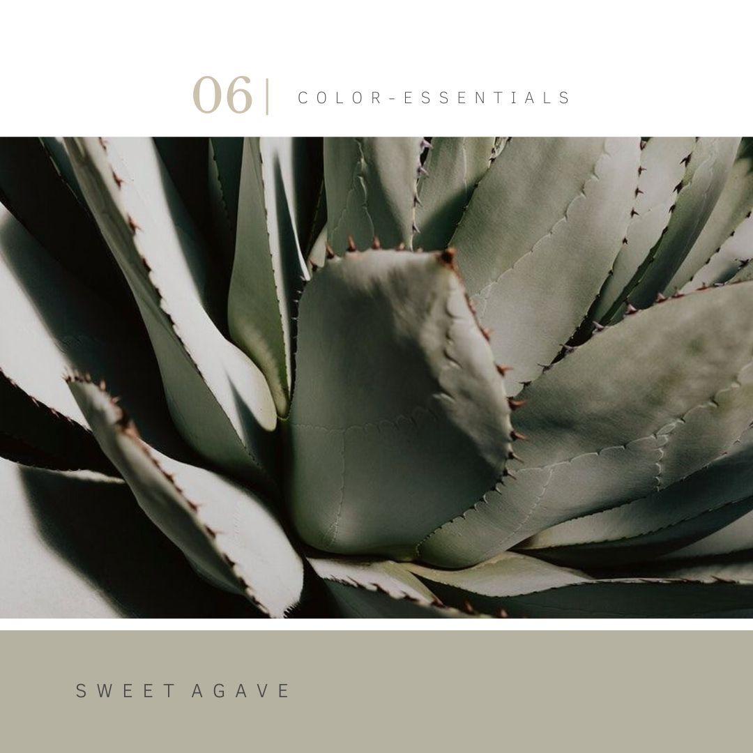 Verflijn Color Essentials | Villa18 Interieurs