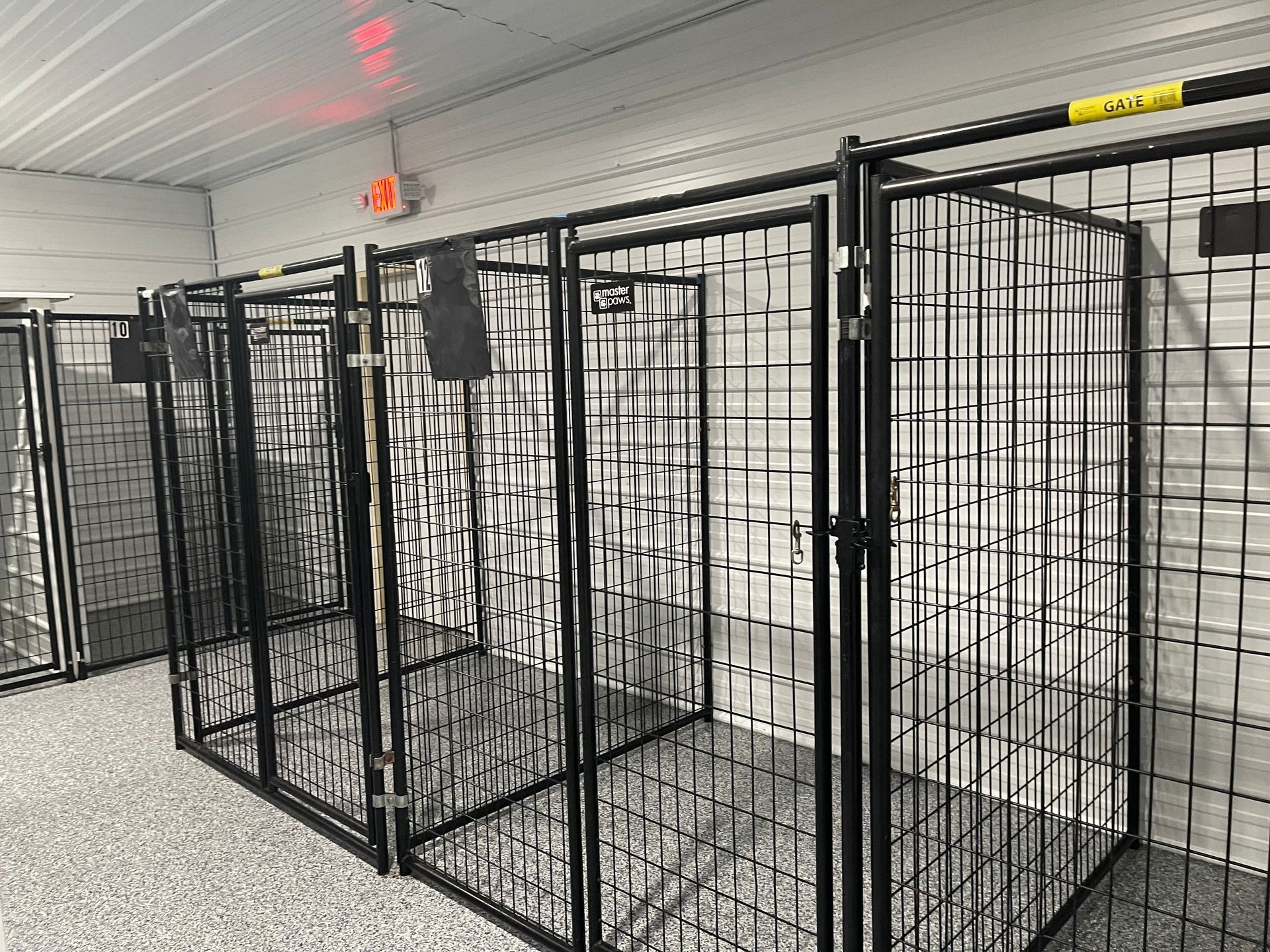 Dog kennels inside a building with a gray floor and white walls.