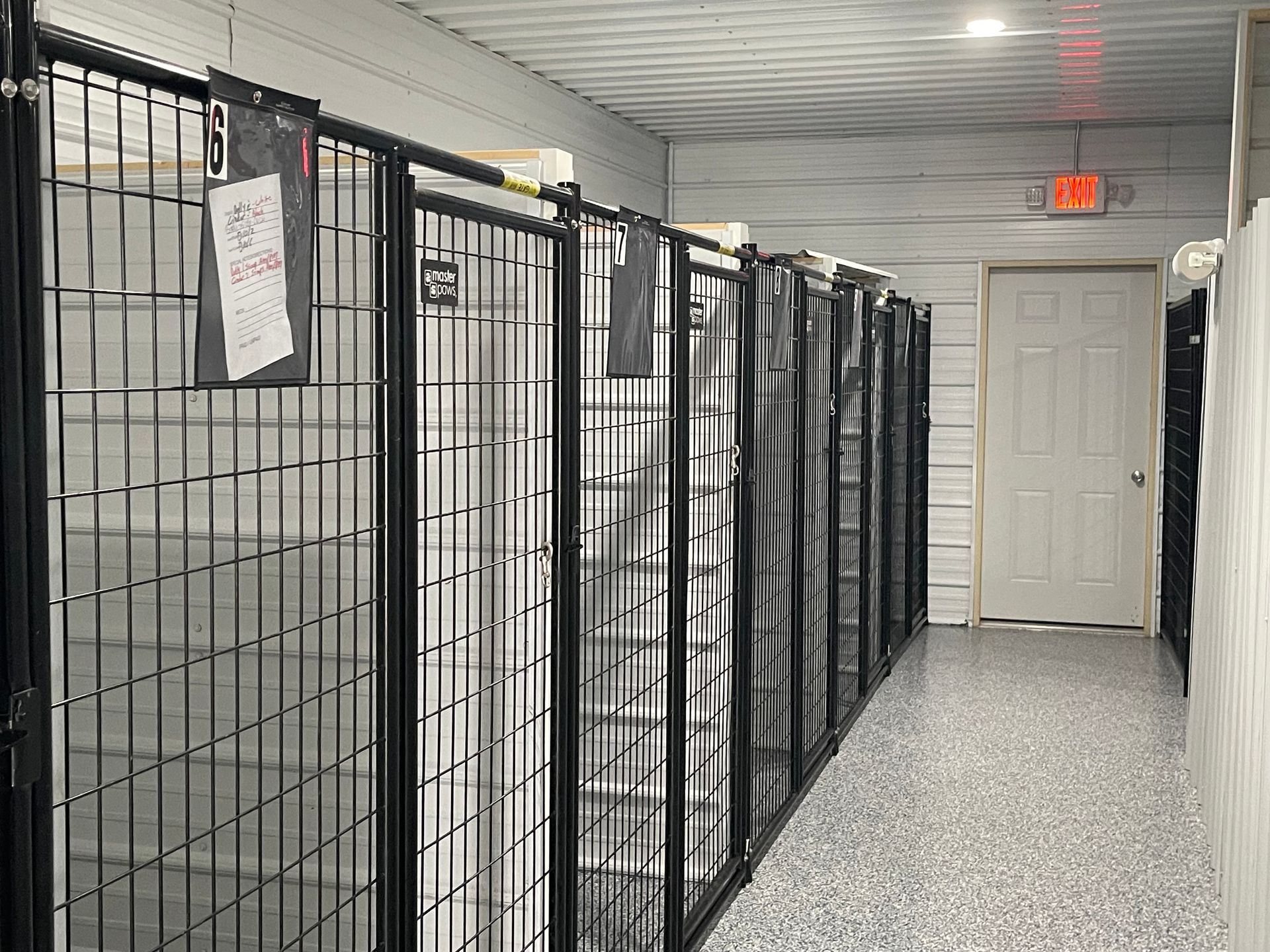 Row of dog kennels inside a building; black metal cages with gray flooring.