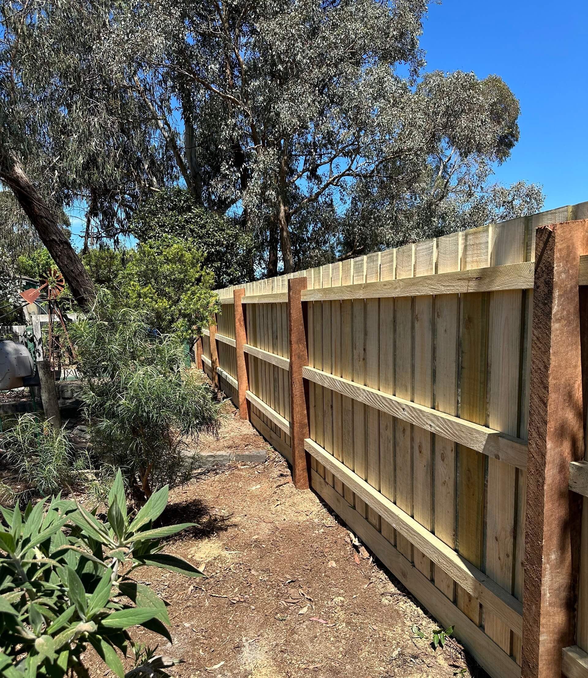 quality timber paling fence