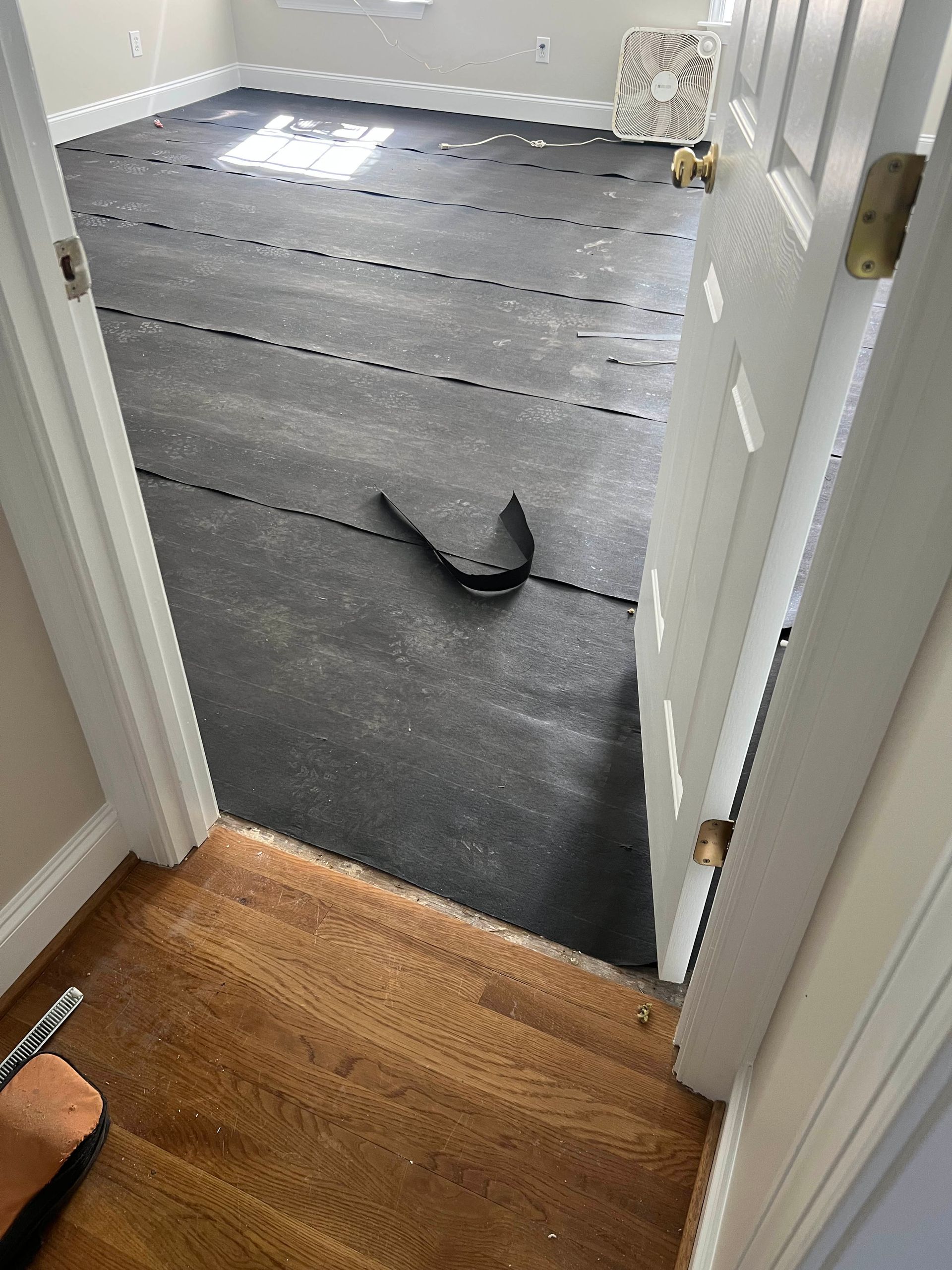 Hallway opening to a room with gray floor covering and a black object on the floor, seen from a doorway