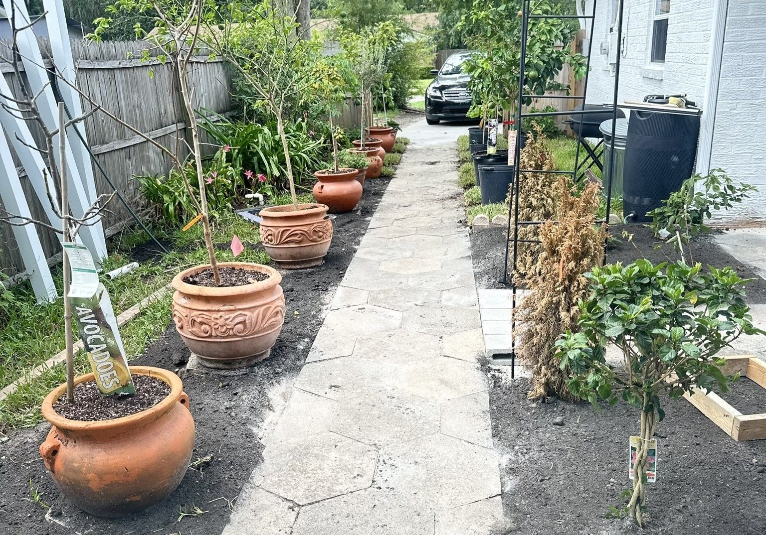 Narrow walkway lined with potted plants and trees in a garden. A car is visible in the background.