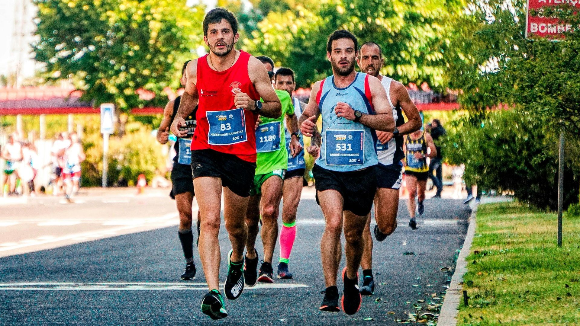 Runners in a road race; men in athletic gear running on asphalt road; trees in background; bright sunlight.