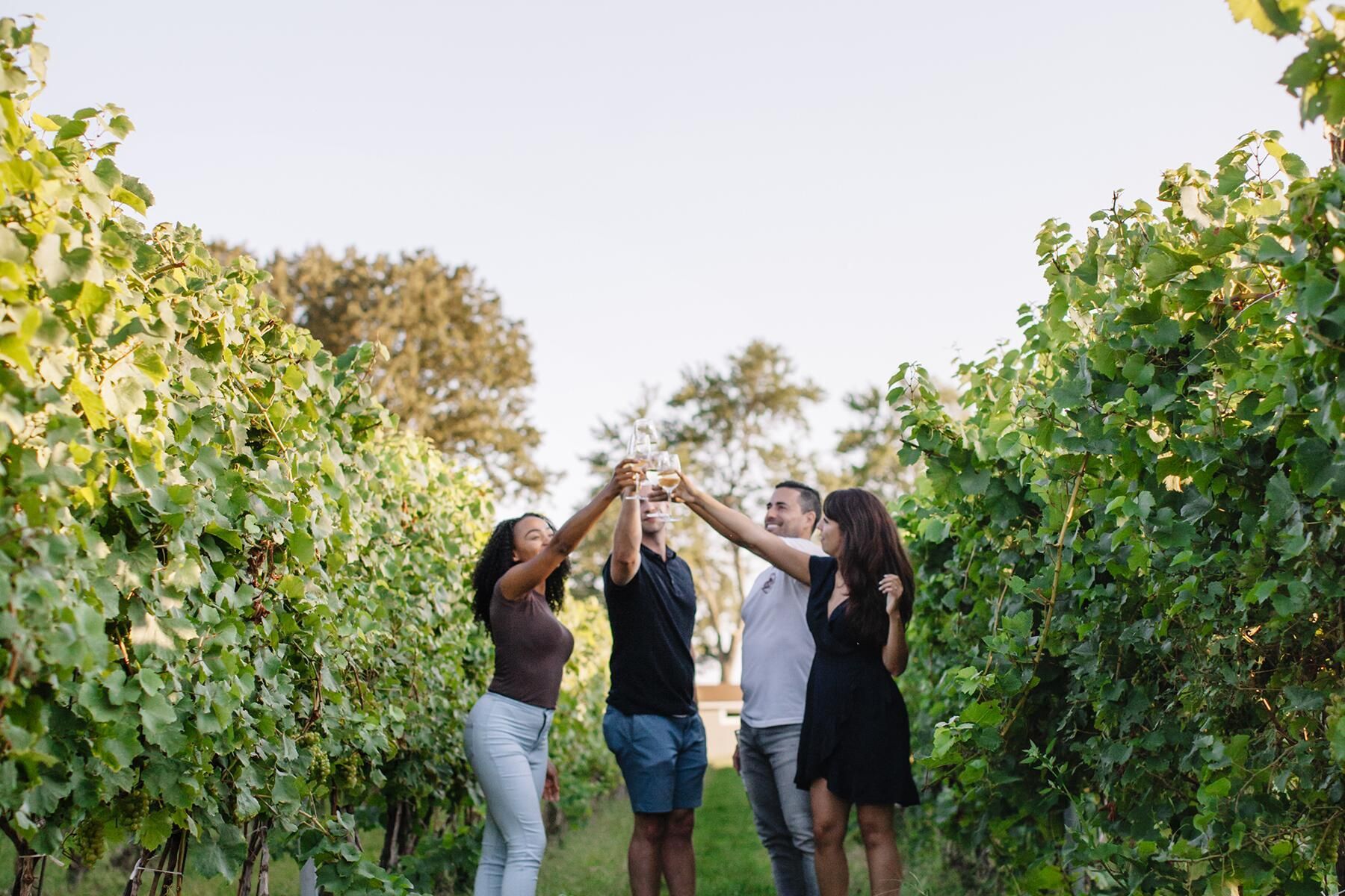 A group of people are standing in a vineyard holding hands.