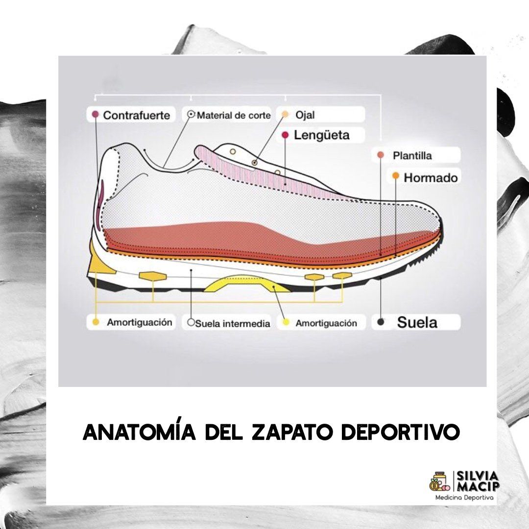 Anatomía Del Calzado Deportivo