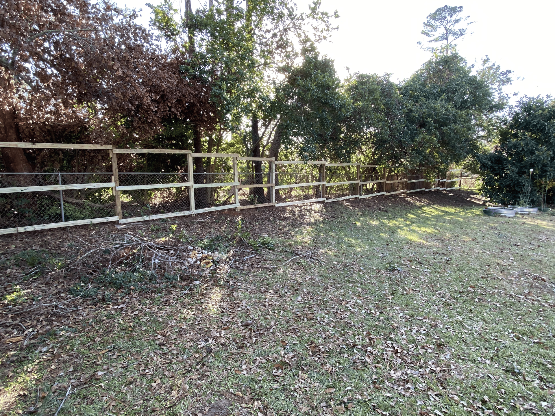 A white fence surrounds a grassy field with trees in the background.
