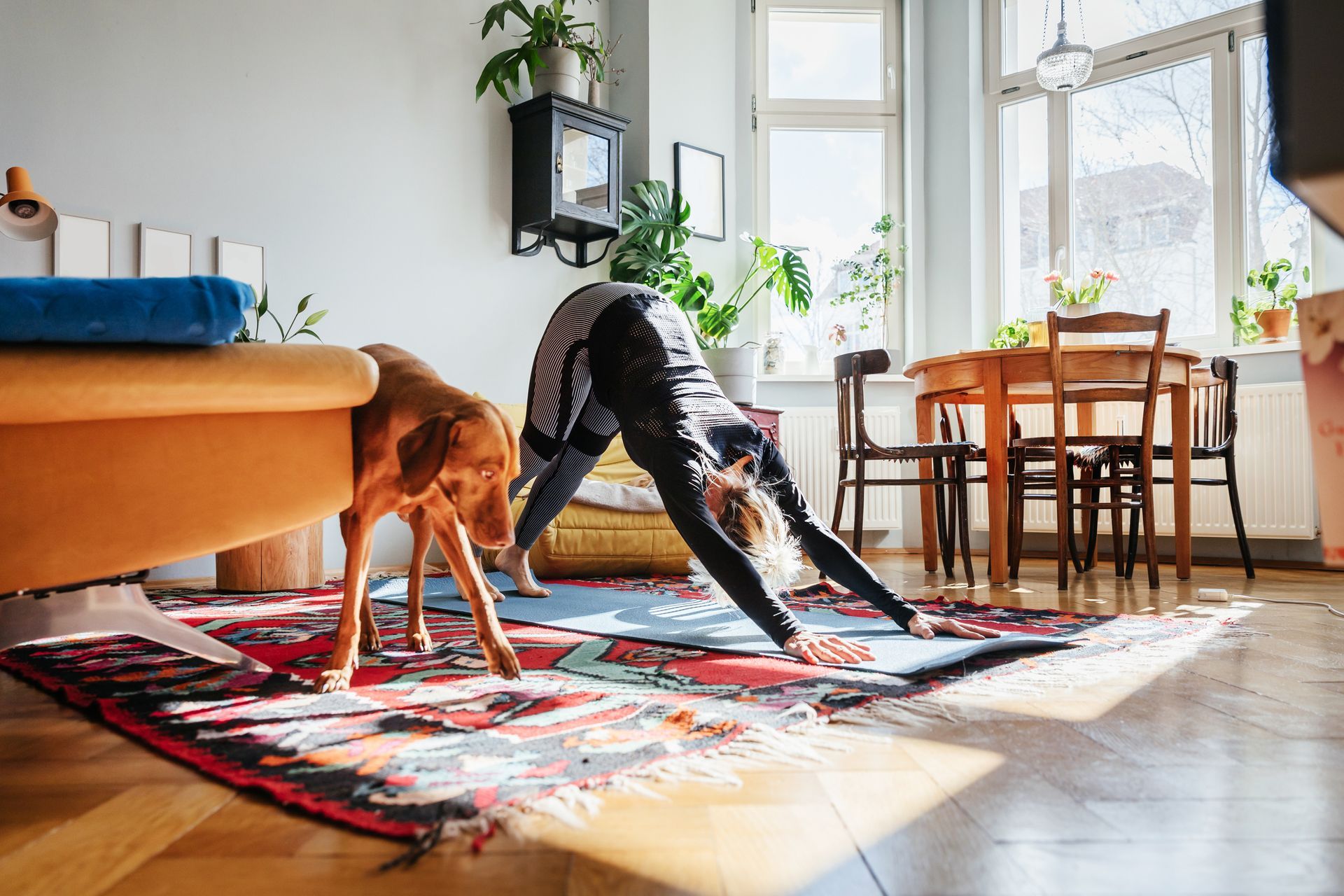 Woman in downward-facing dog pose on yoga mat indoors; dog watches. Sunlight streams into the room.