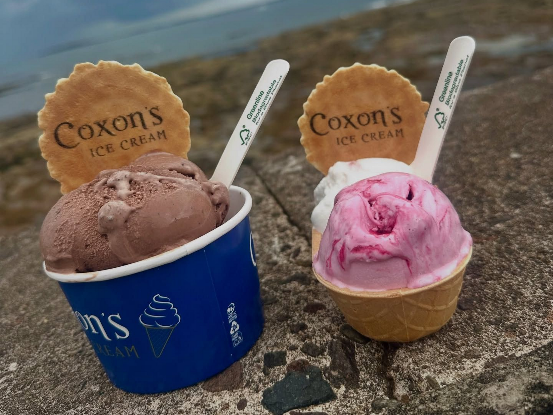 Two ice cream cups with waffle cookies. Chocolate and pink ice cream, blue cup, seaside background.