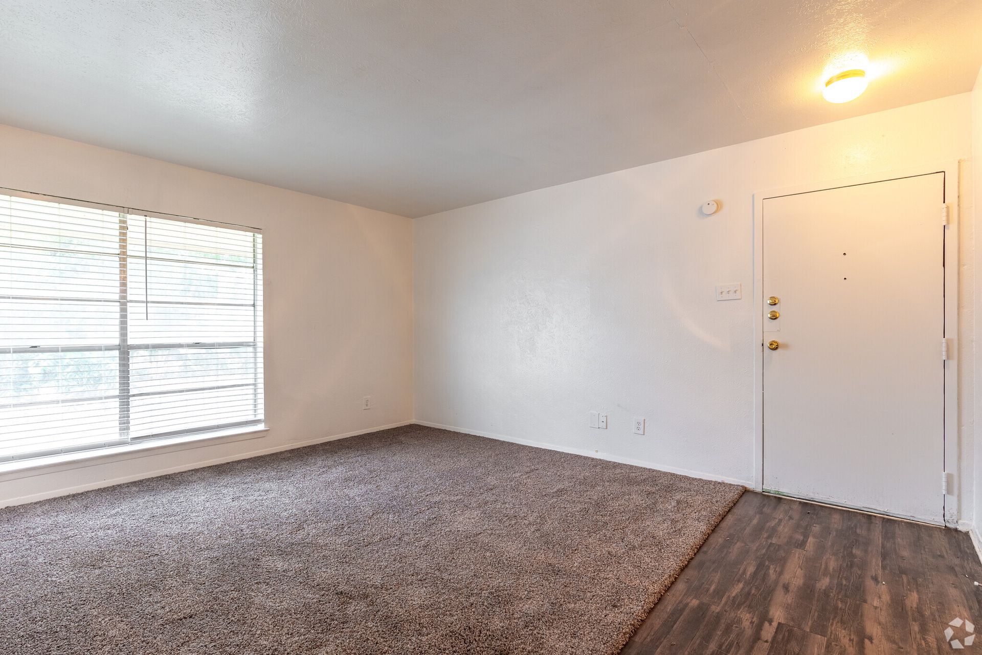 An empty living room with a carpeted floor , a window and a door.