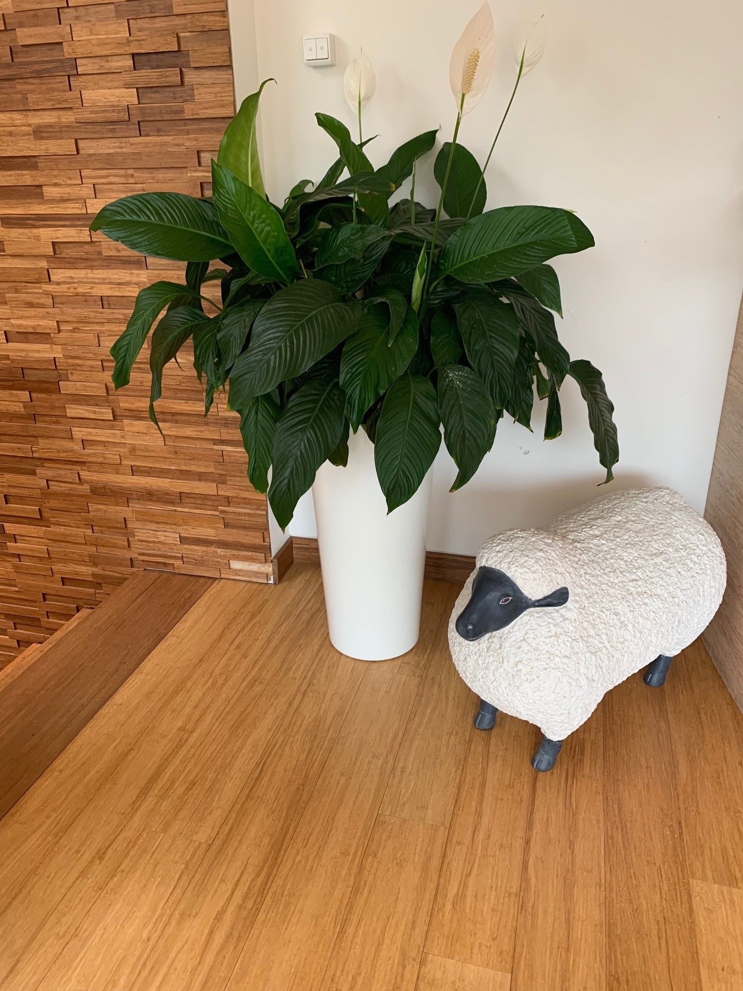 Pavimento in bamboo Infloor