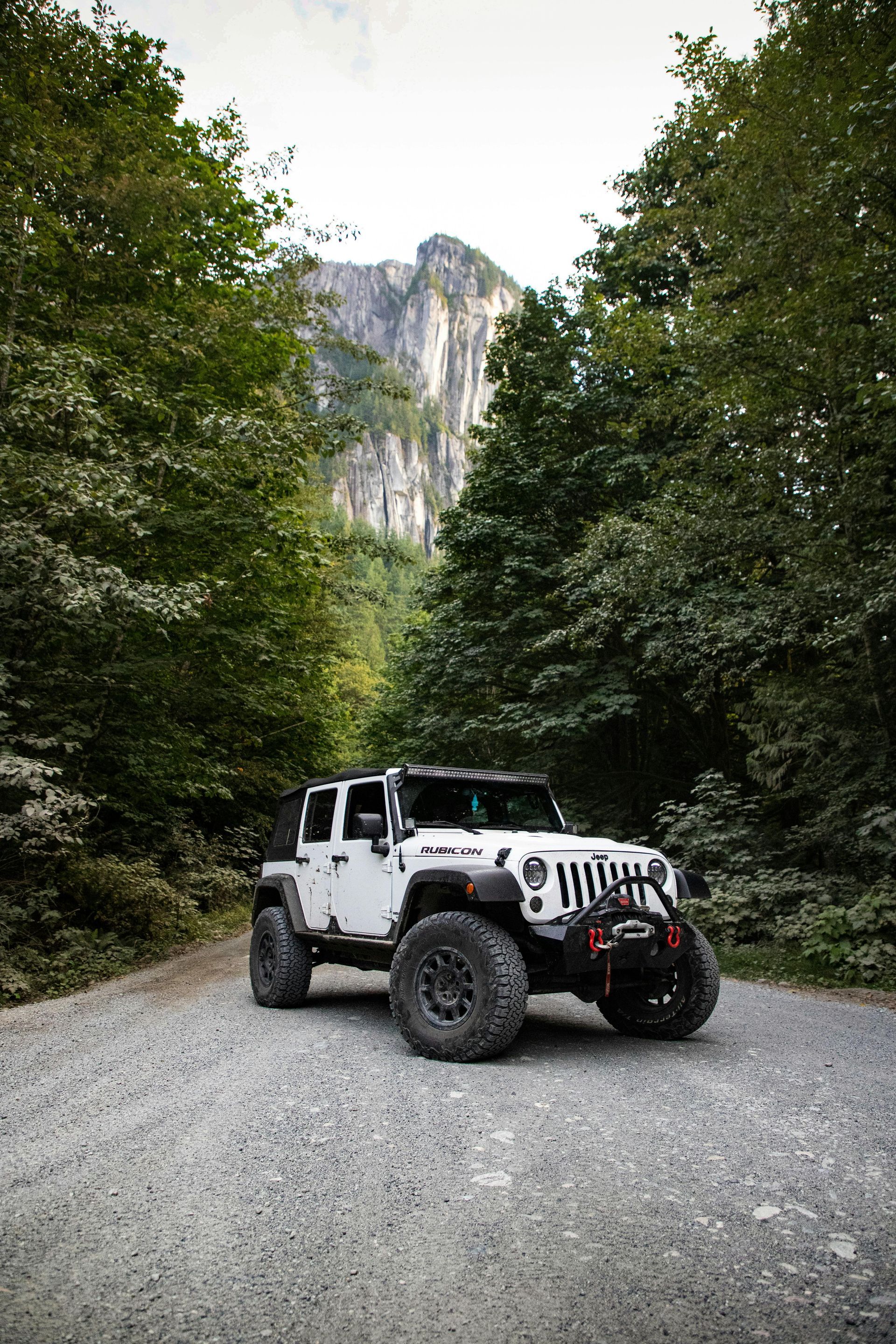 White Jeep on a gravel road, flanked by trees, with a mountain backdrop.