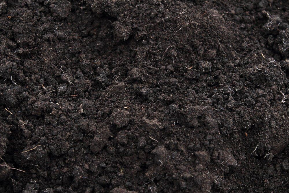 Black Soil — Soil in Port Macquarie, NSW