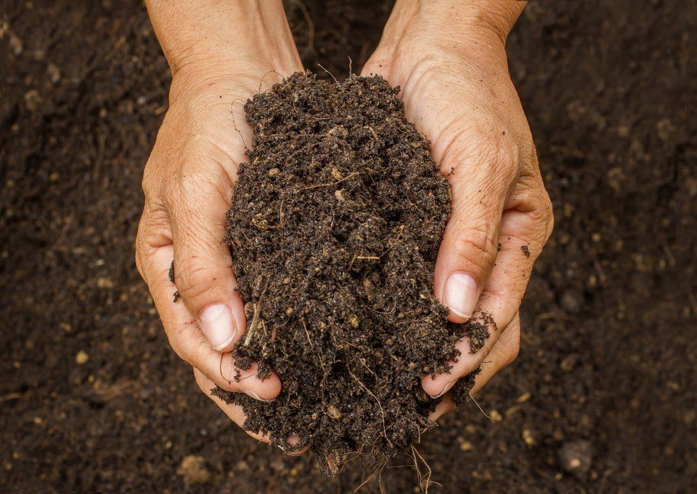Hand Holding Soil — Soil in Port Macquarie, NSW