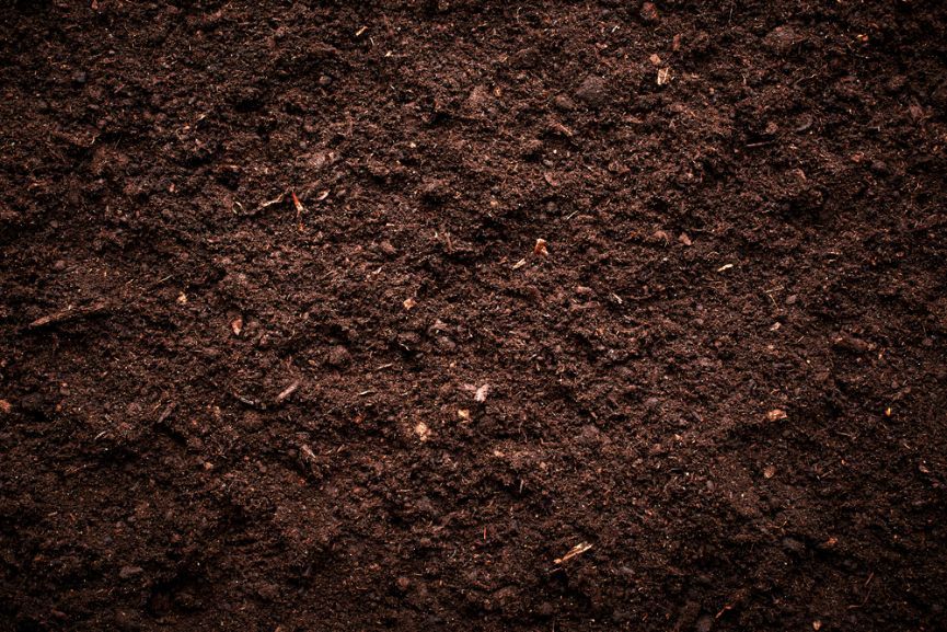 Garden Soil — Soil in Port Macquarie, NSW