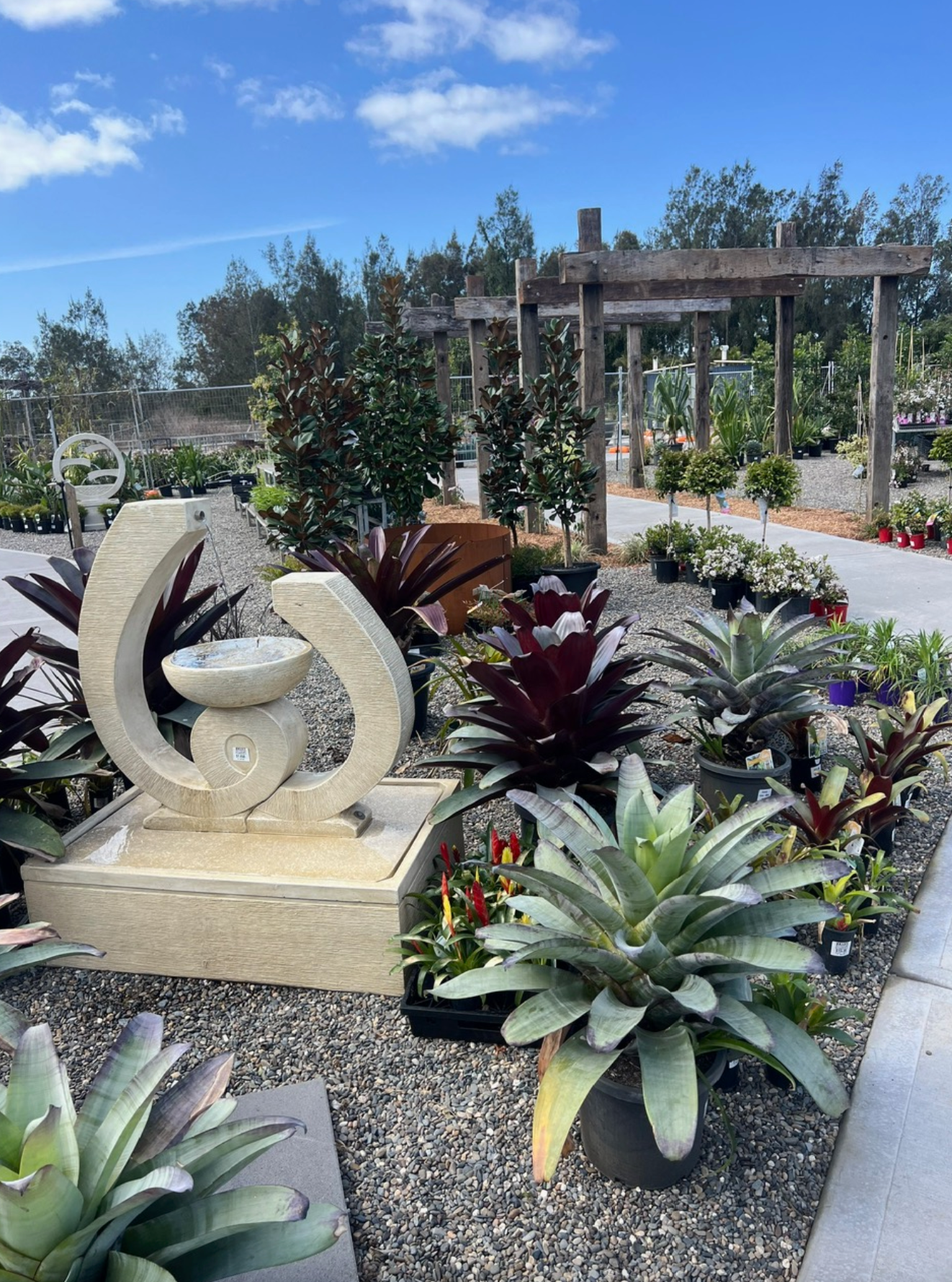 Beautiful Plants At Nursery β Landscape Supplies in Port Macquarie, NSW