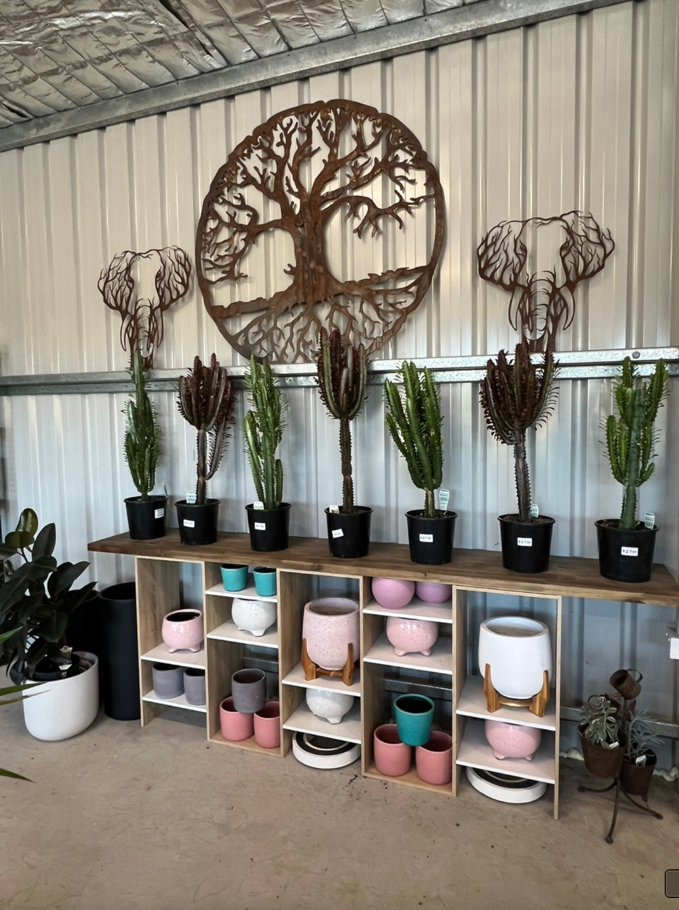 Variety Of Plants — Landscape Supplies in Port Macquarie, NSW