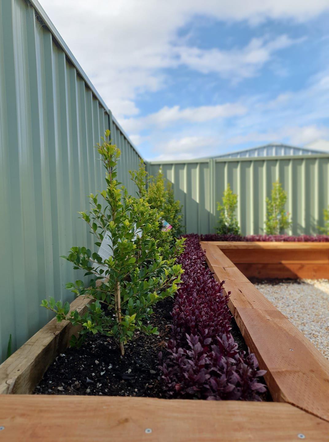Green And Purple Plants In Wooden Garden Beds — Building Products in Port Macquarie, NSW