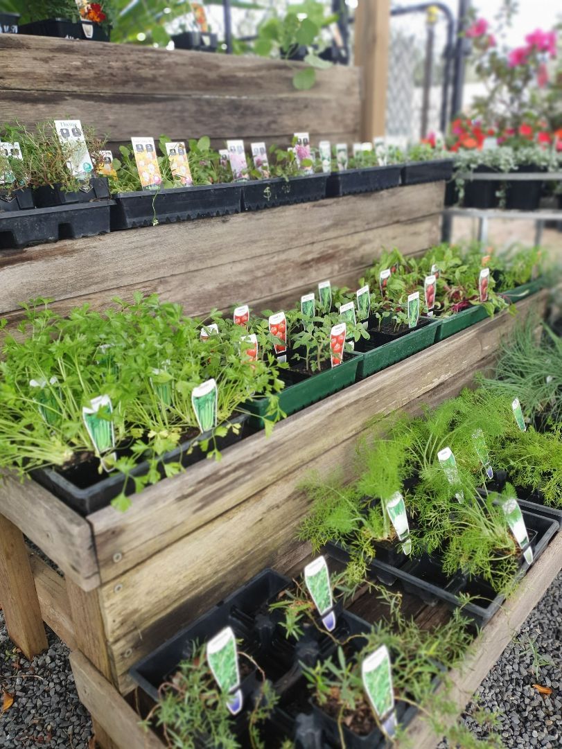 Herb Selection — Landscape Supplies in Port Macquarie, NSW