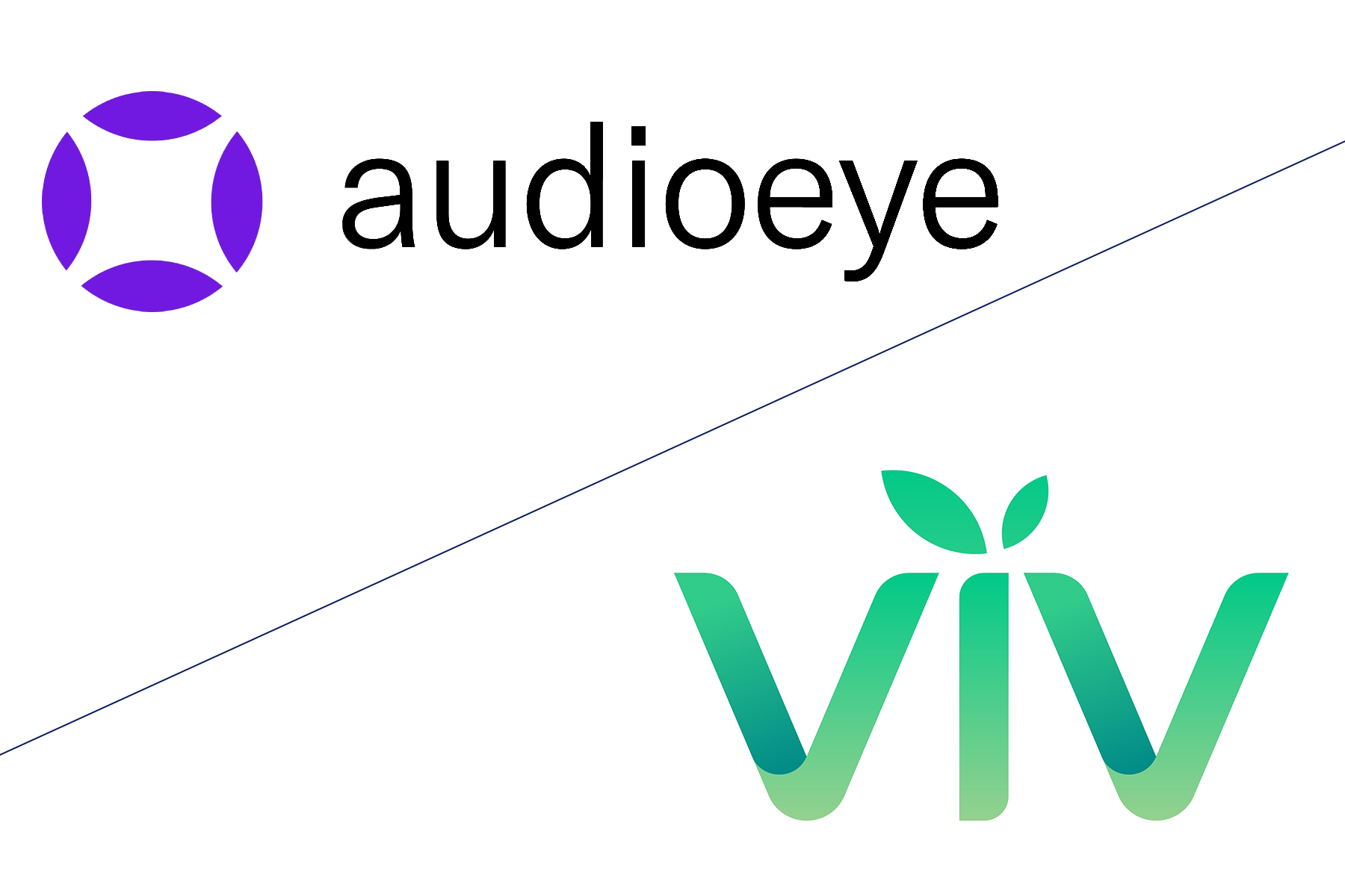 The logos for audioeye and viv are next to each other on a white background.