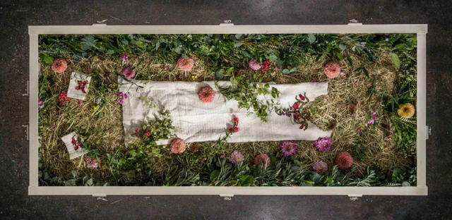 Terramation in Minnesota – A Natural, Gentle Alternative | Hoff