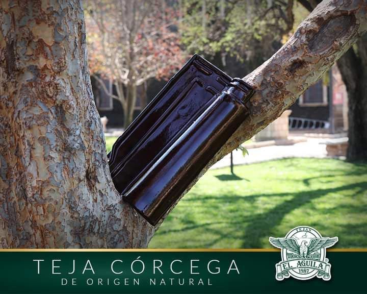 Tejacron - TEJA CÓRCEGA
