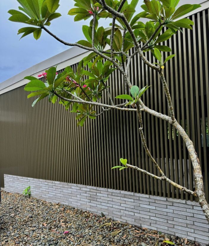 A Tree in Front of a Building With a Brick Wall — DC Fencing In Wondunna, QLD