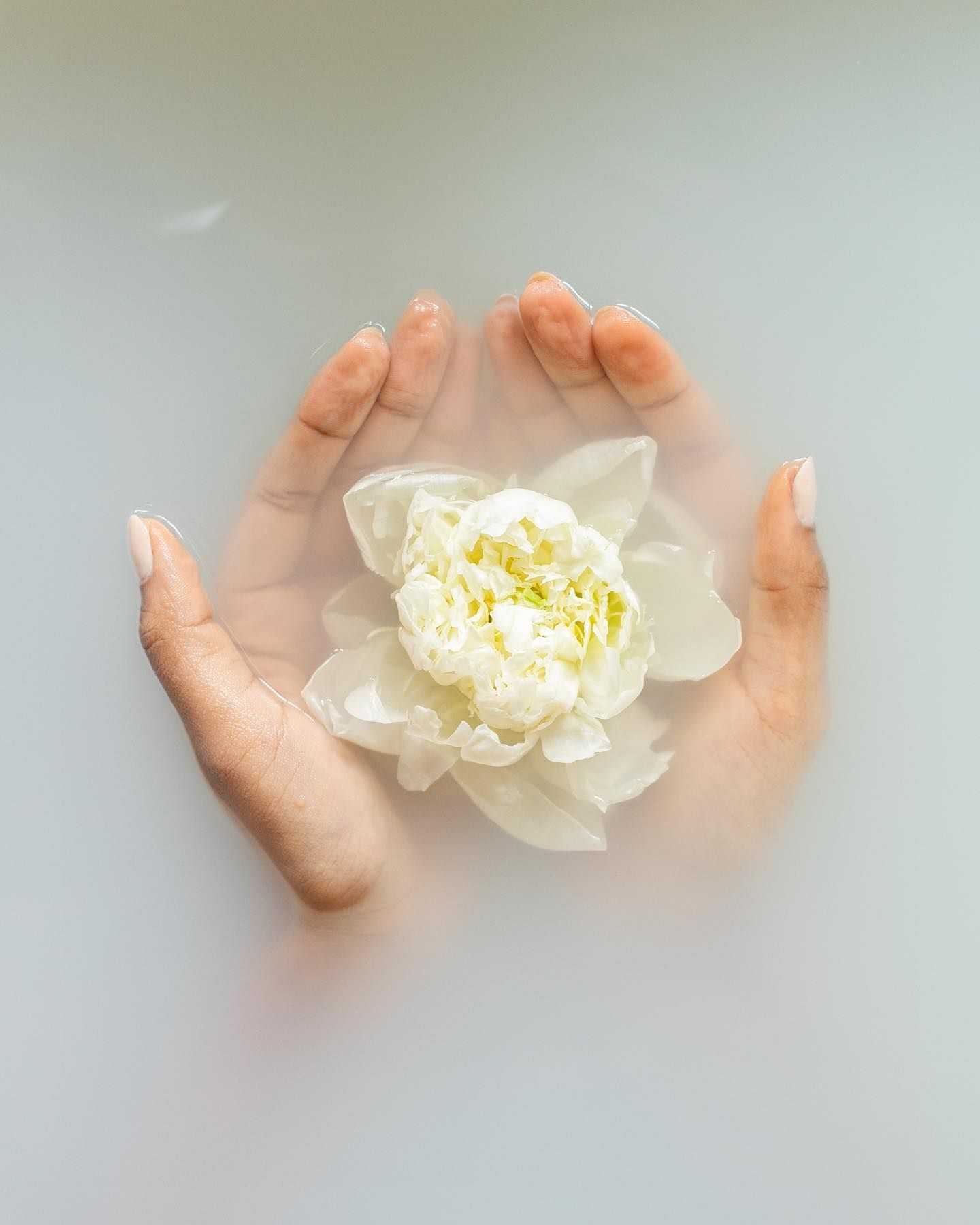 Hand Holding Rose In Water
