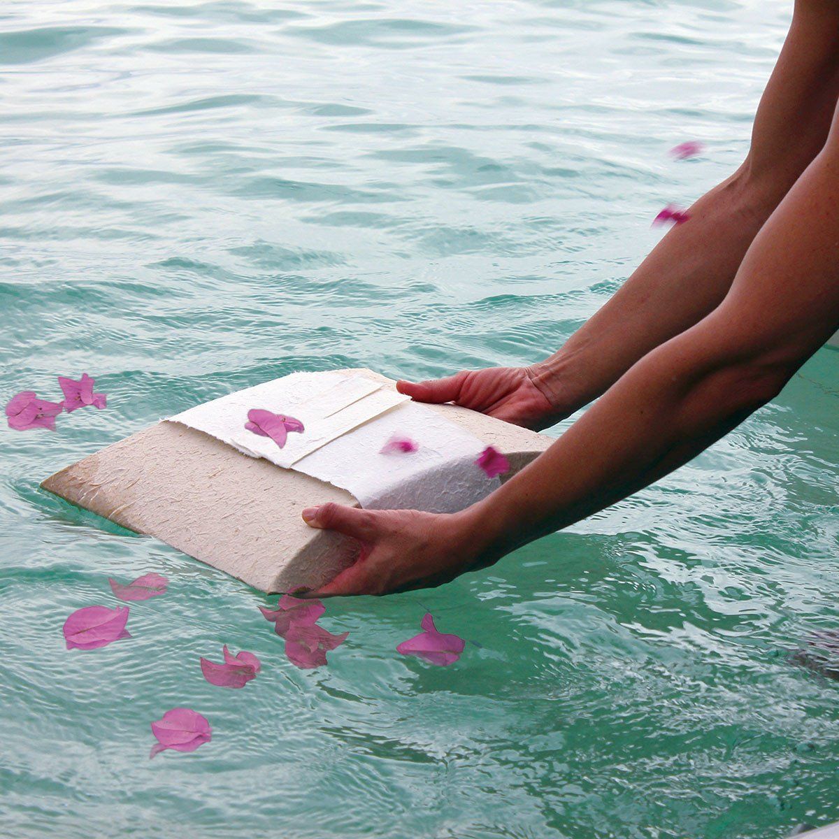 The Journey Water Release