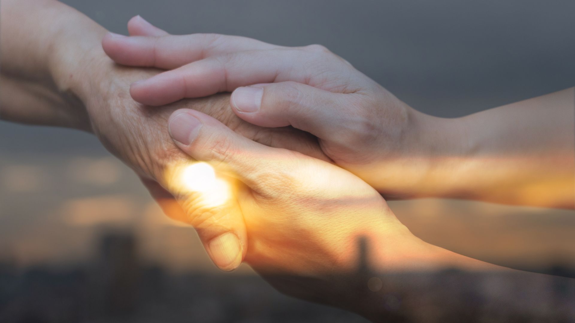 Two people are holding hands with the sun shining through them.