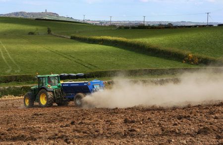 Groundworking - Ballygowan, Newtownards - William Thompson & Son - Plant machinery