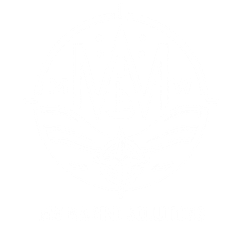 MW Marine Solutions logo