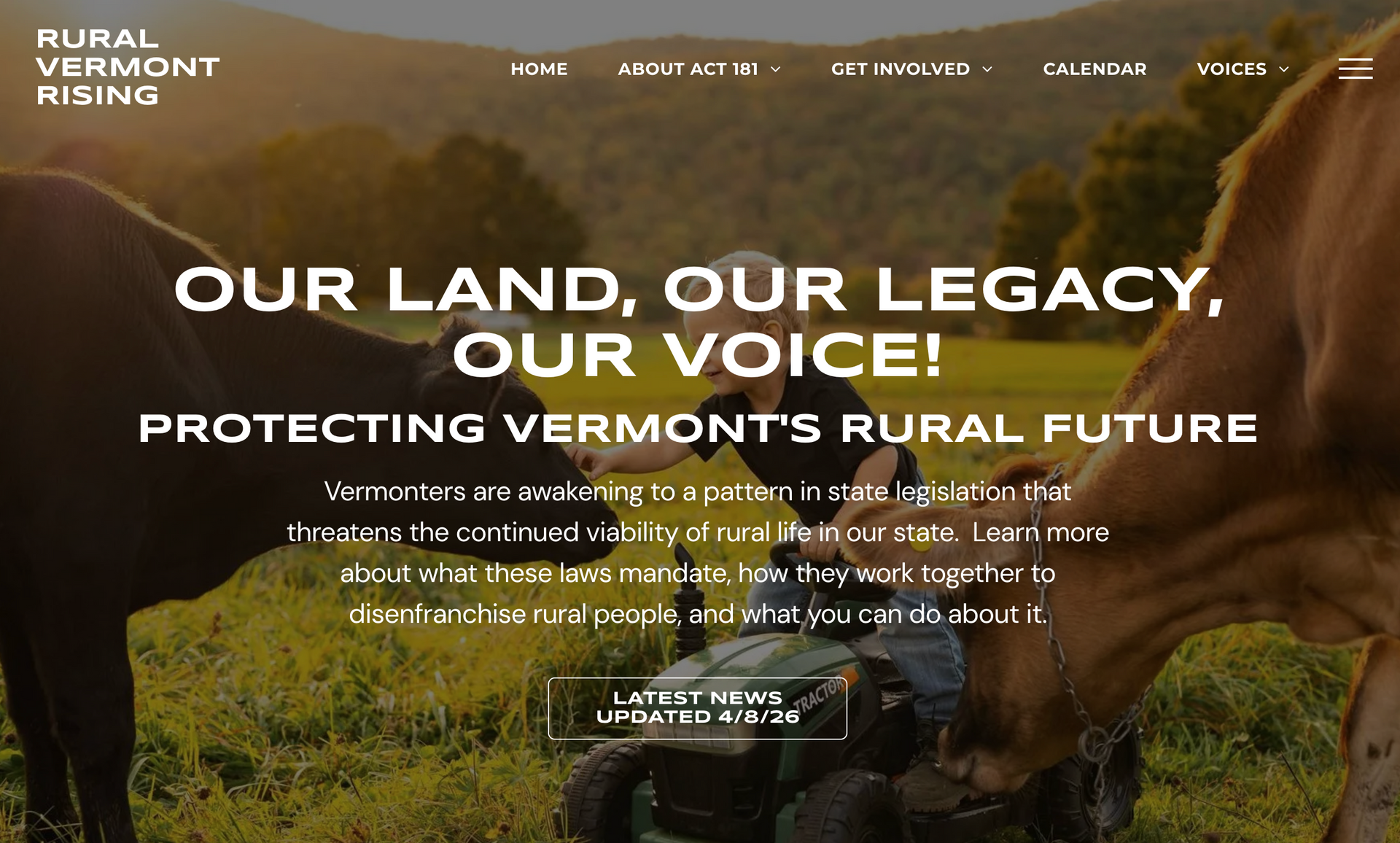Small Business Website Design, Development and messaging by Lulu Web Design Vermont