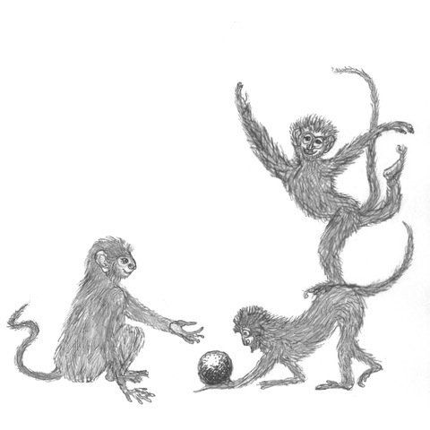 pencil on paper drawing of monkeys playing with a ball