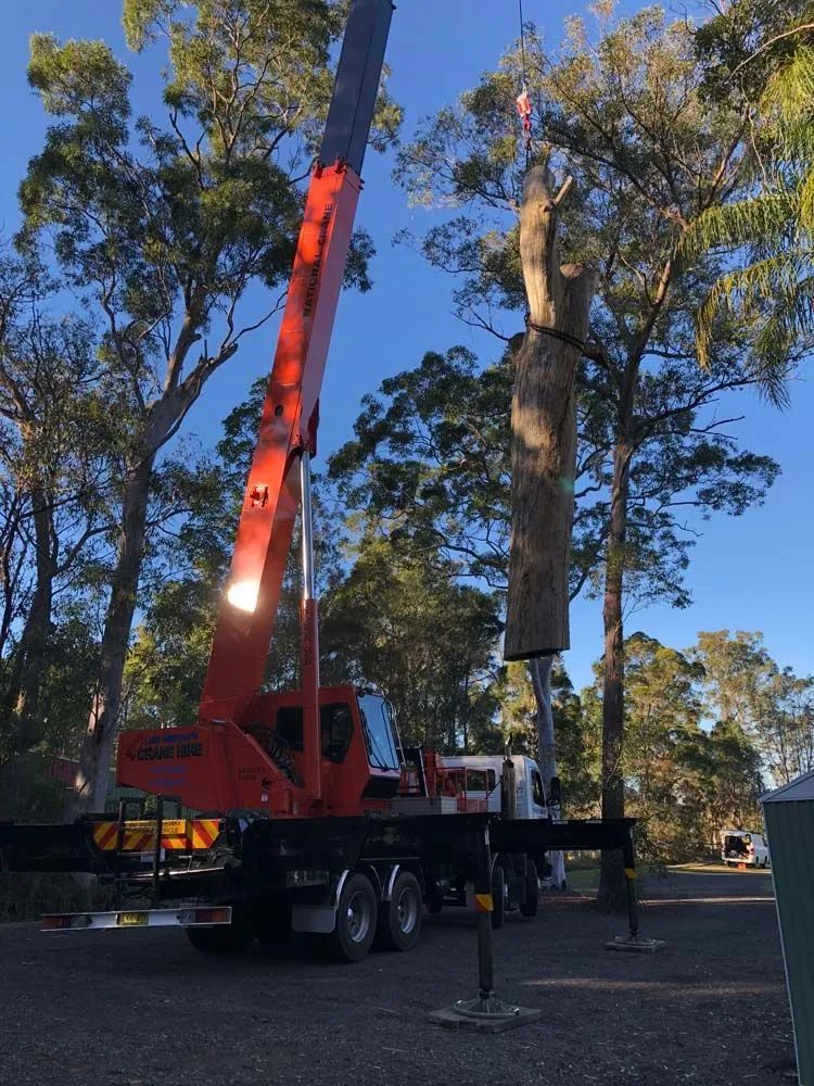 A Man Is Cutting Logs with A Chainsaw in The Woods — Central Coast Tree Removal In Wyongah, NSW