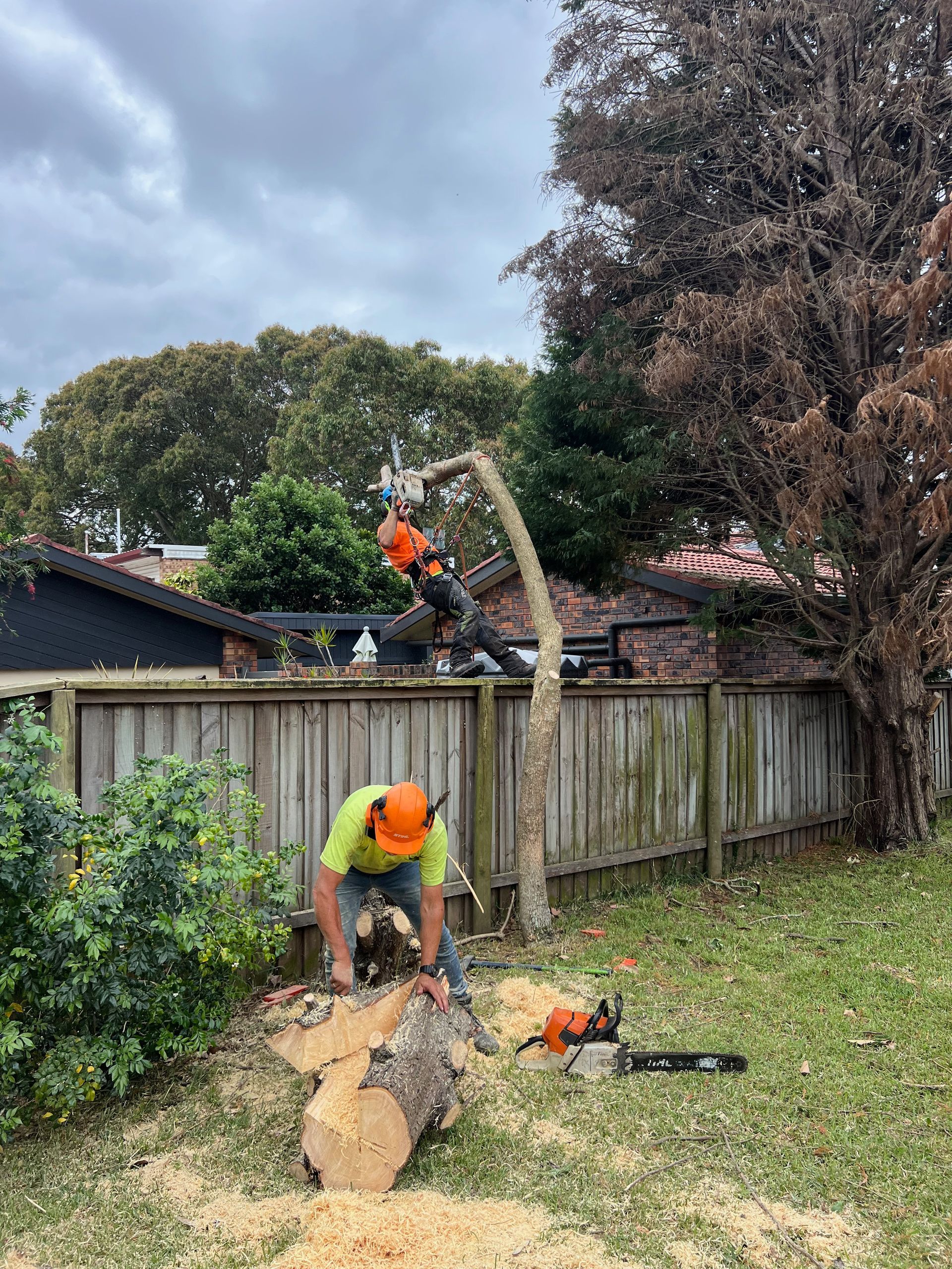 Man in Safety Gear Cuts Tree Branches With Chainsaw — Central Coast Tree Removal In Wyongah, NSW